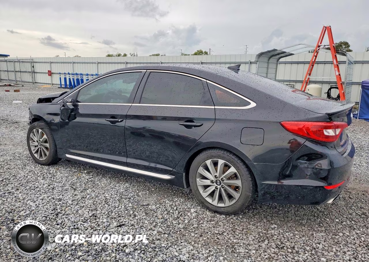 2016 Hyundai Sonata Sport VIN:5NPE34AF8GH281002 - 2
