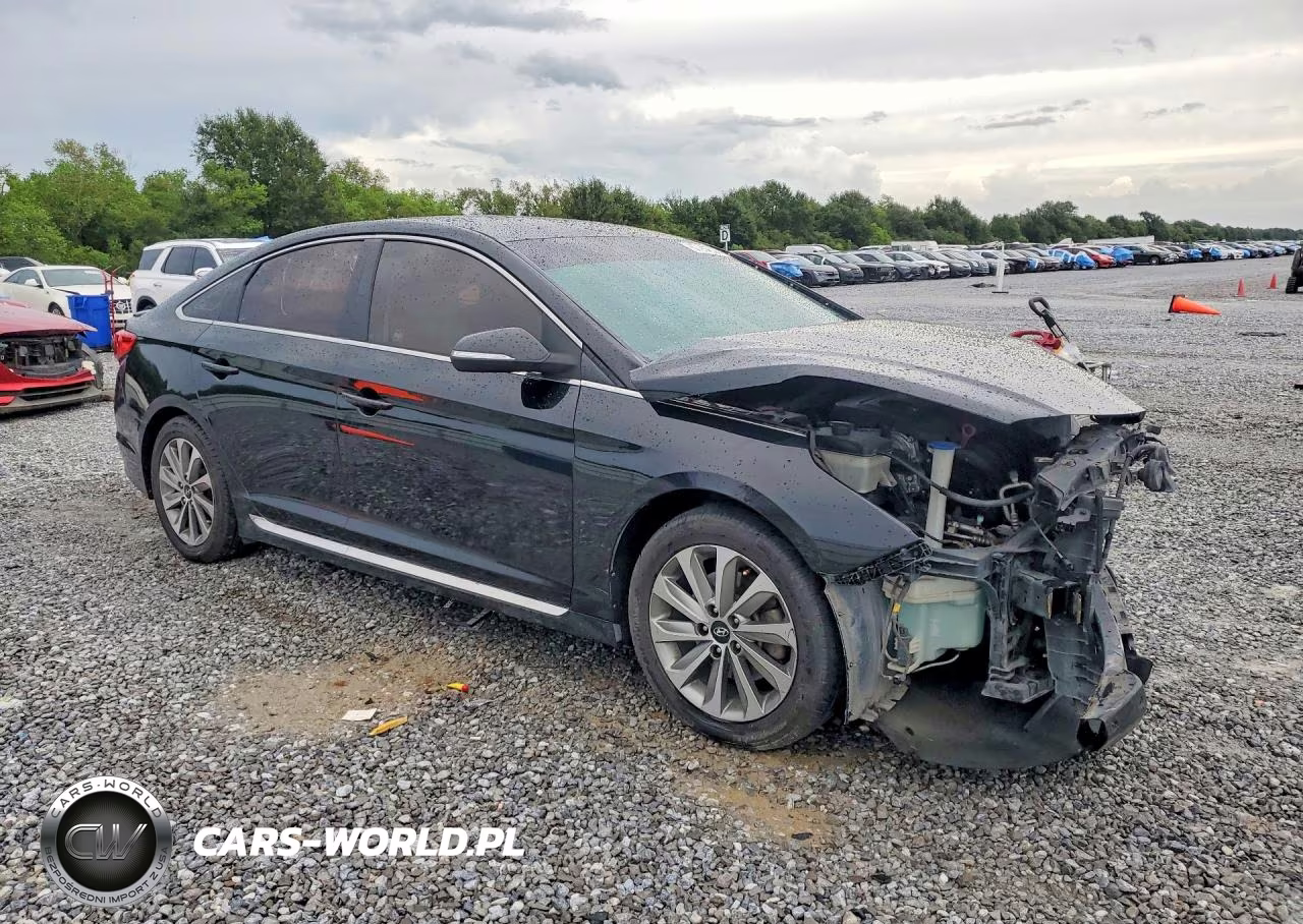 2016 Hyundai Sonata Sport VIN:5NPE34AF8GH281002 - 4