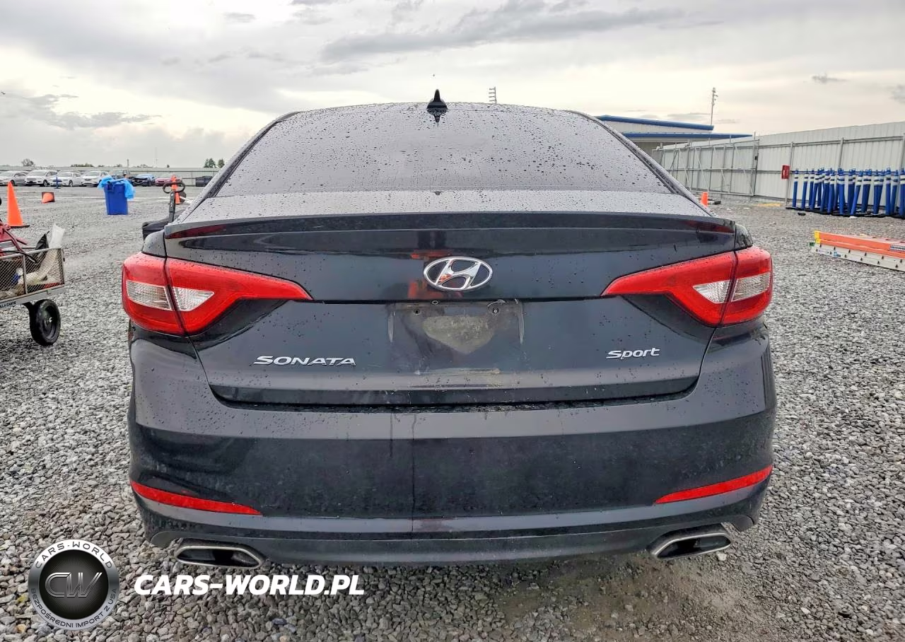 2016 Hyundai Sonata Sport VIN:5NPE34AF8GH281002 - 6
