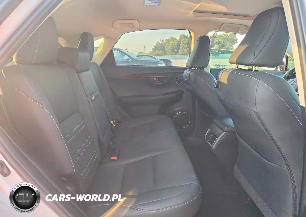 2020 Lexus Nx 300 VIN:JTJGARBZ1L2160731 - 10