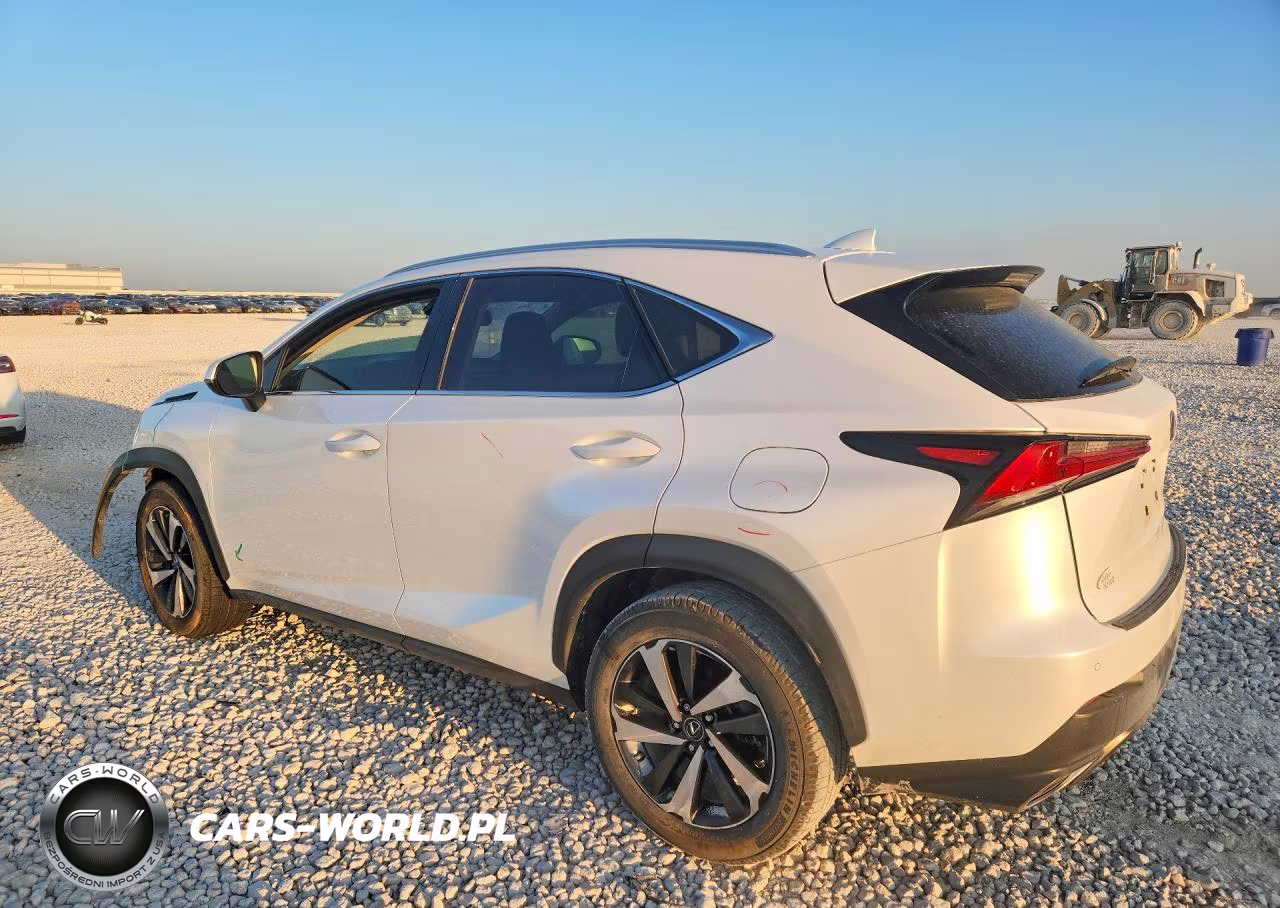 2020 Lexus Nx 300 VIN:JTJGARBZ1L2160731 - 2