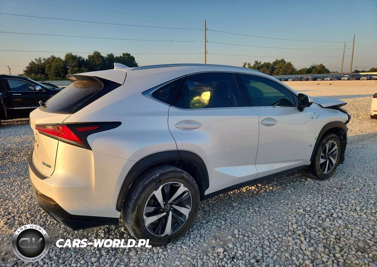 2020 Lexus Nx 300 VIN:JTJGARBZ1L2160731 - 3