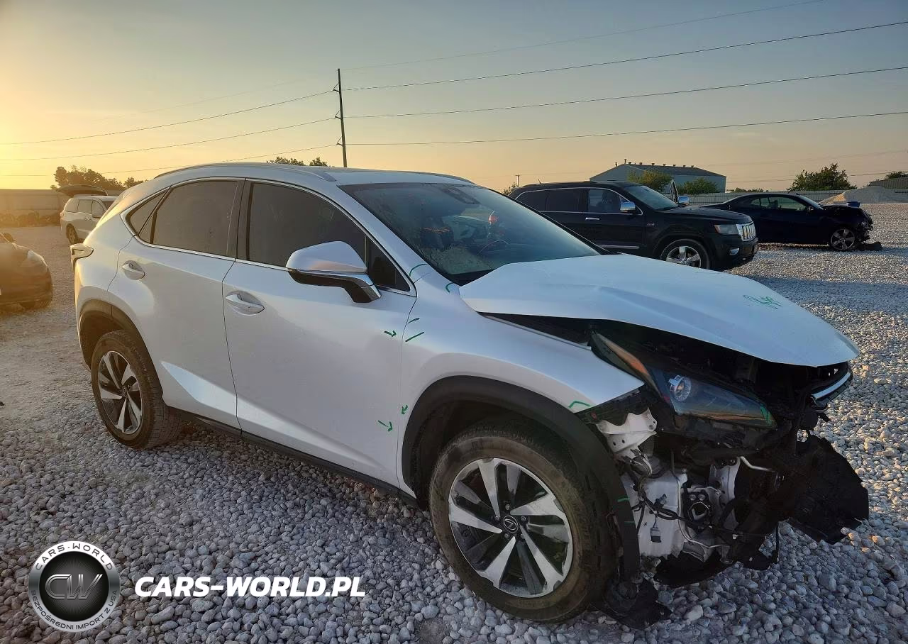 2020 Lexus Nx 300 VIN:JTJGARBZ1L2160731 - 4