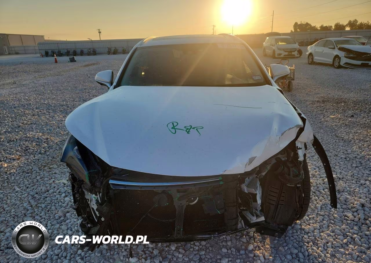 2020 Lexus Nx 300 VIN:JTJGARBZ1L2160731 - 5