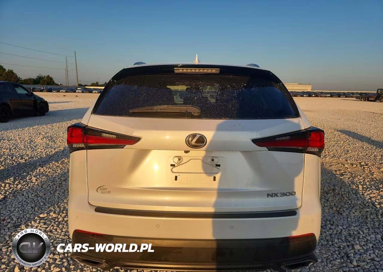 2020 Lexus Nx 300 VIN:JTJGARBZ1L2160731 - 6
