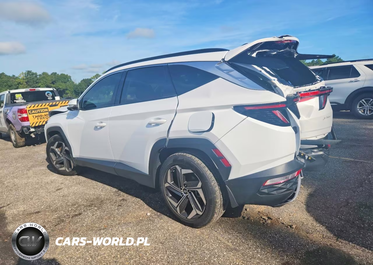 2023 Hyundai Tucson Limited VIN:KM8JE3AE1PU213183 - 2