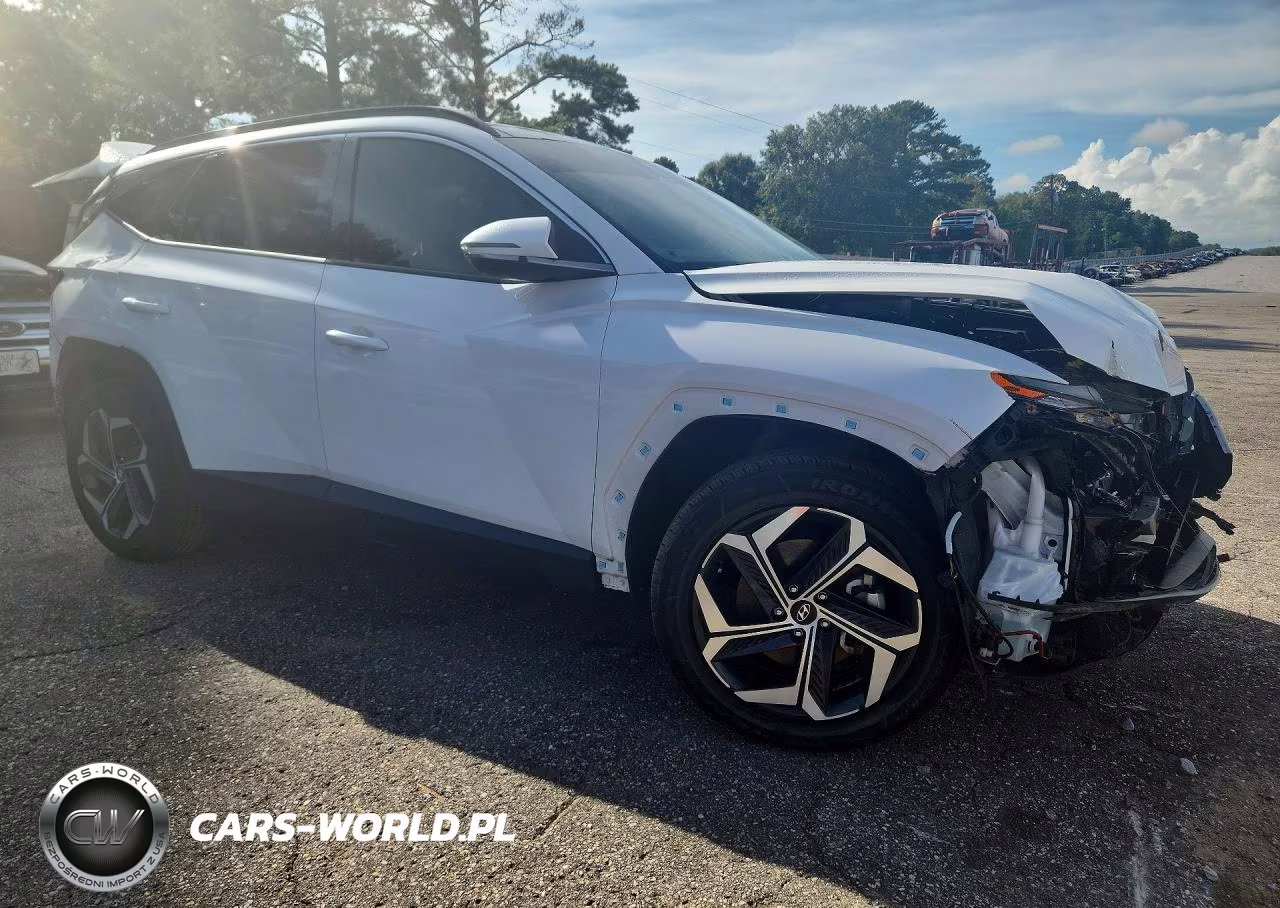 2023 Hyundai Tucson Limited VIN:KM8JE3AE1PU213183 - 4