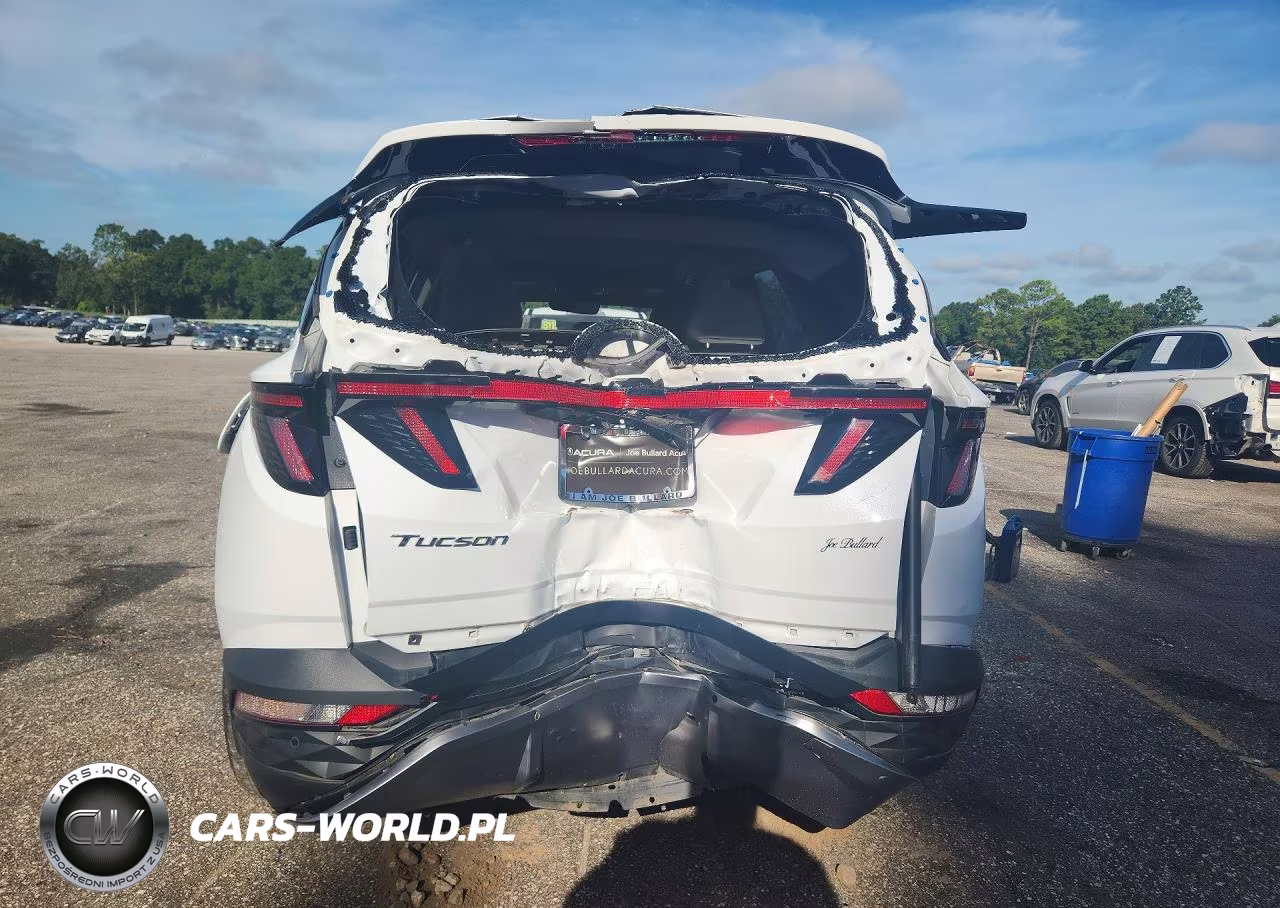 2023 Hyundai Tucson Limited VIN:KM8JE3AE1PU213183 - 6