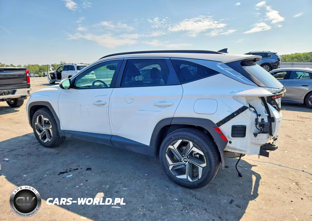 2023 Hyundai Tucson Sel VIN:5NMJFCAE8PH189327 - 2