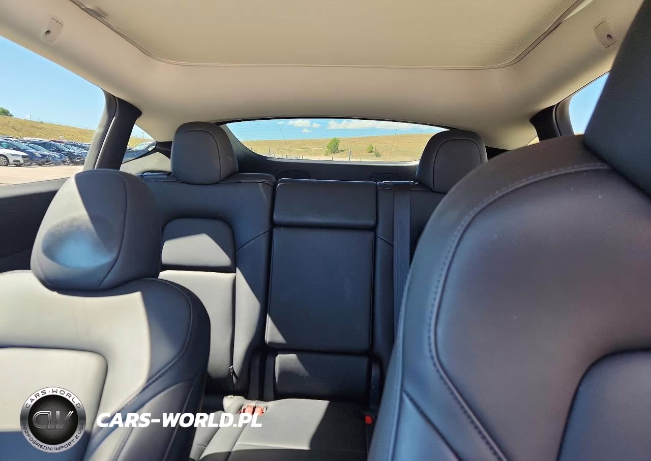 2025 Tesla Model Y VIN:7SAYGDEE2SF237719 - 10