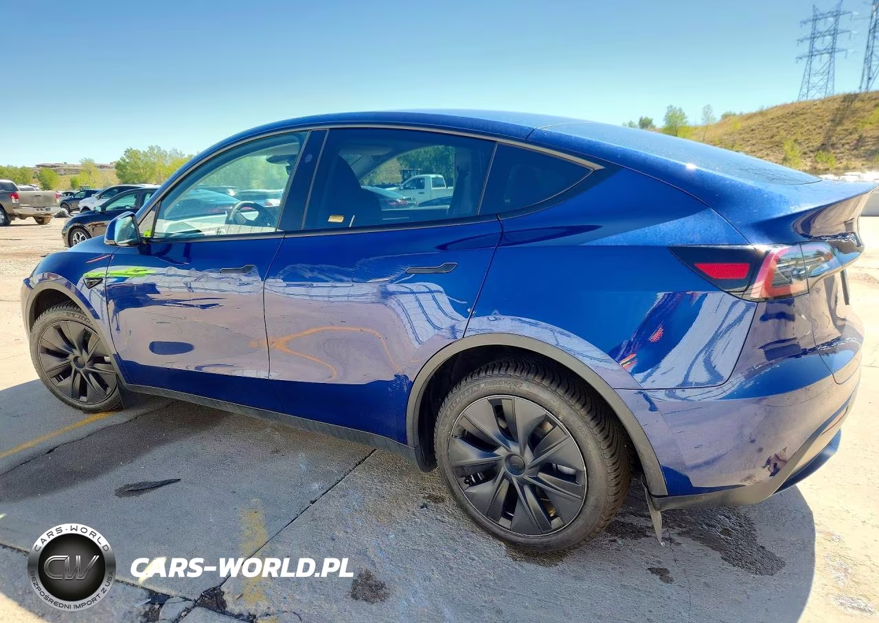2025 Tesla Model Y VIN:7SAYGDEE2SF237719 - 2