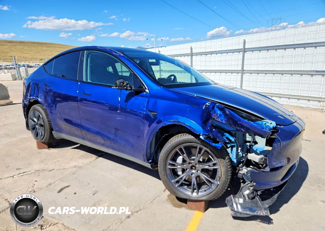 2025 Tesla Model Y VIN:7SAYGDEE2SF237719 - 4