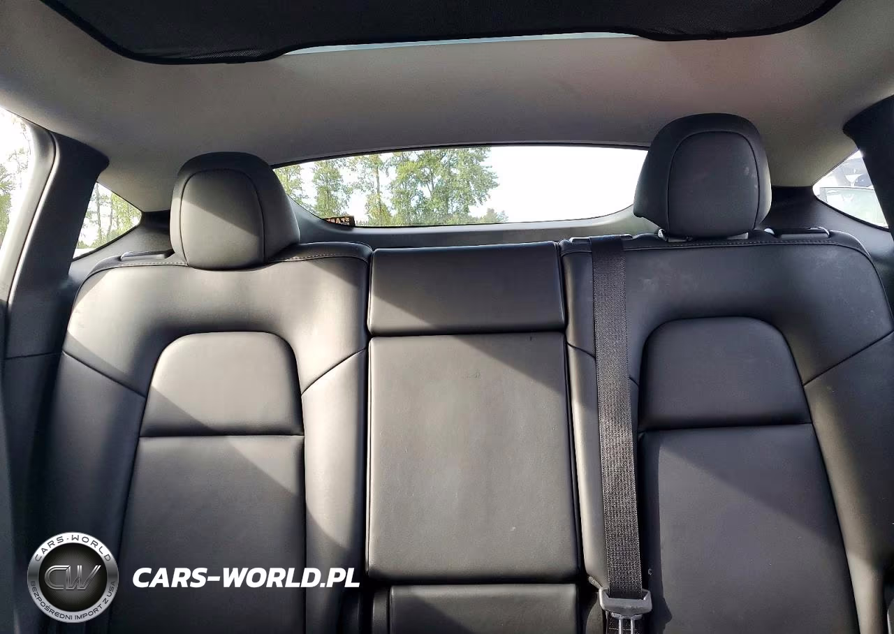 2023 Tesla Model Y VIN:7SAYGAEE2PF602129 - 10