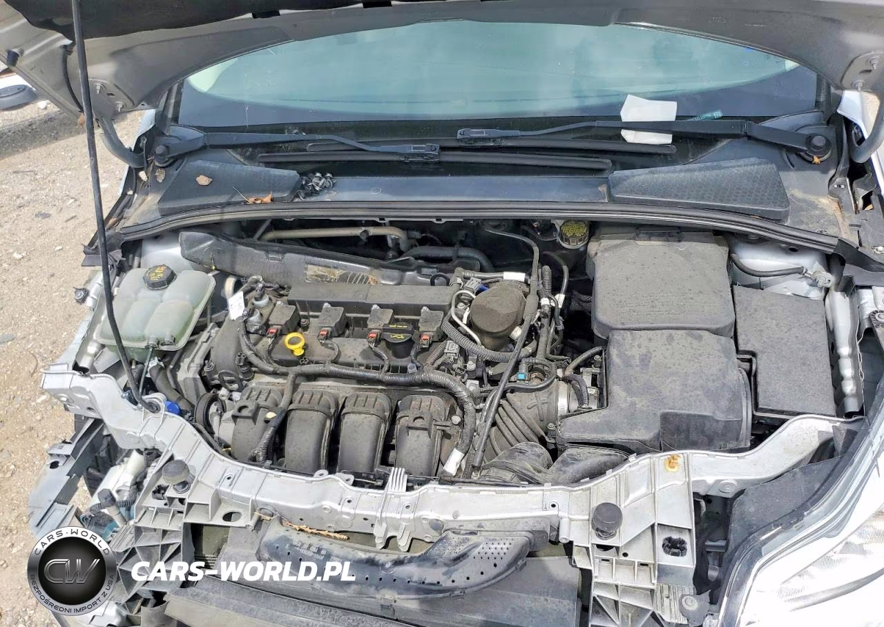 2014 Ford Focus Se VIN:1FADP3K2XEL229150 - 11
