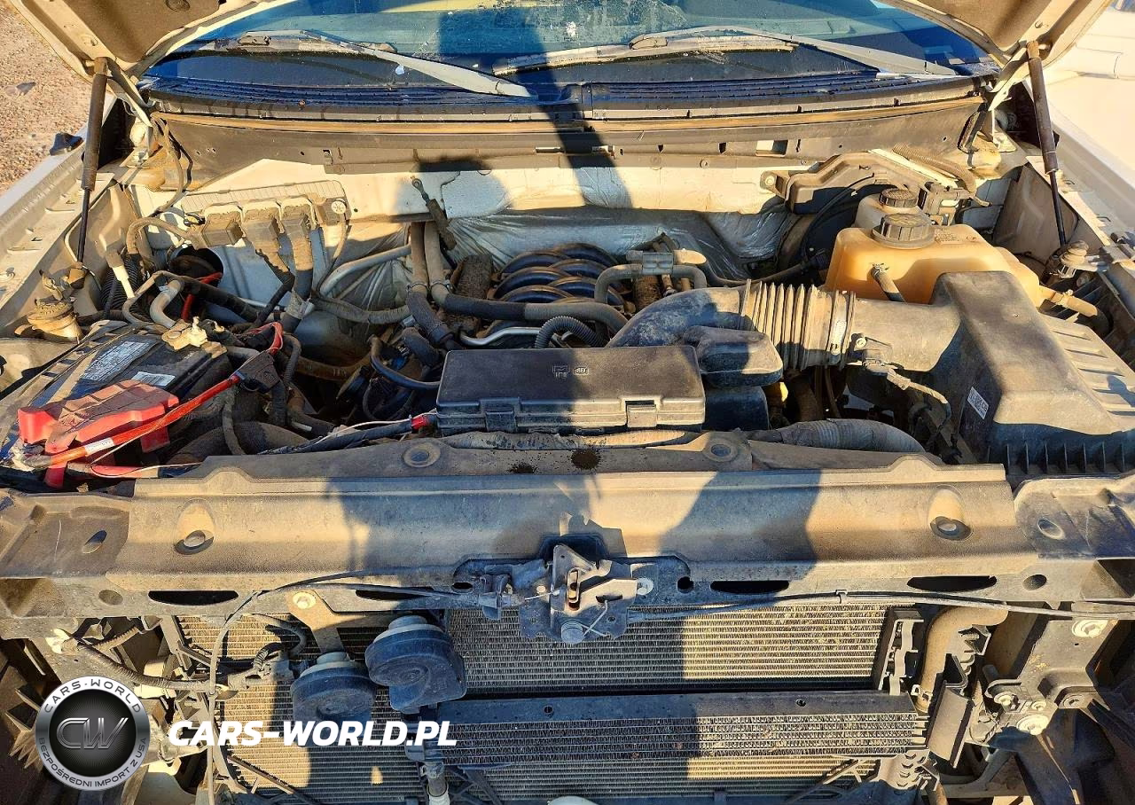 2012 Ford F150 Supercrew VIN:1FTFW1EF6CFA65481 - 11