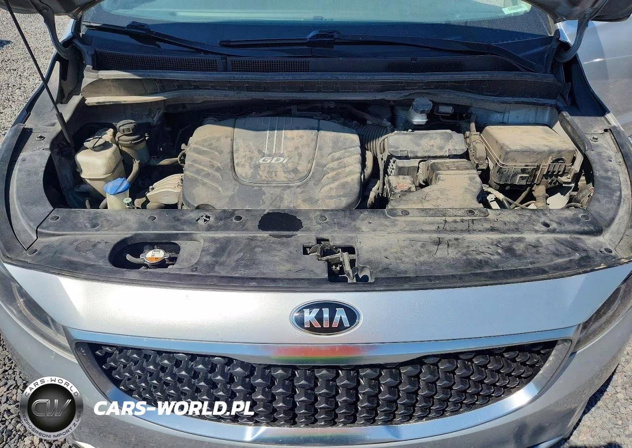 2016 Kia Sedona Lx VIN:KNDMB5C12G6197225 - 12