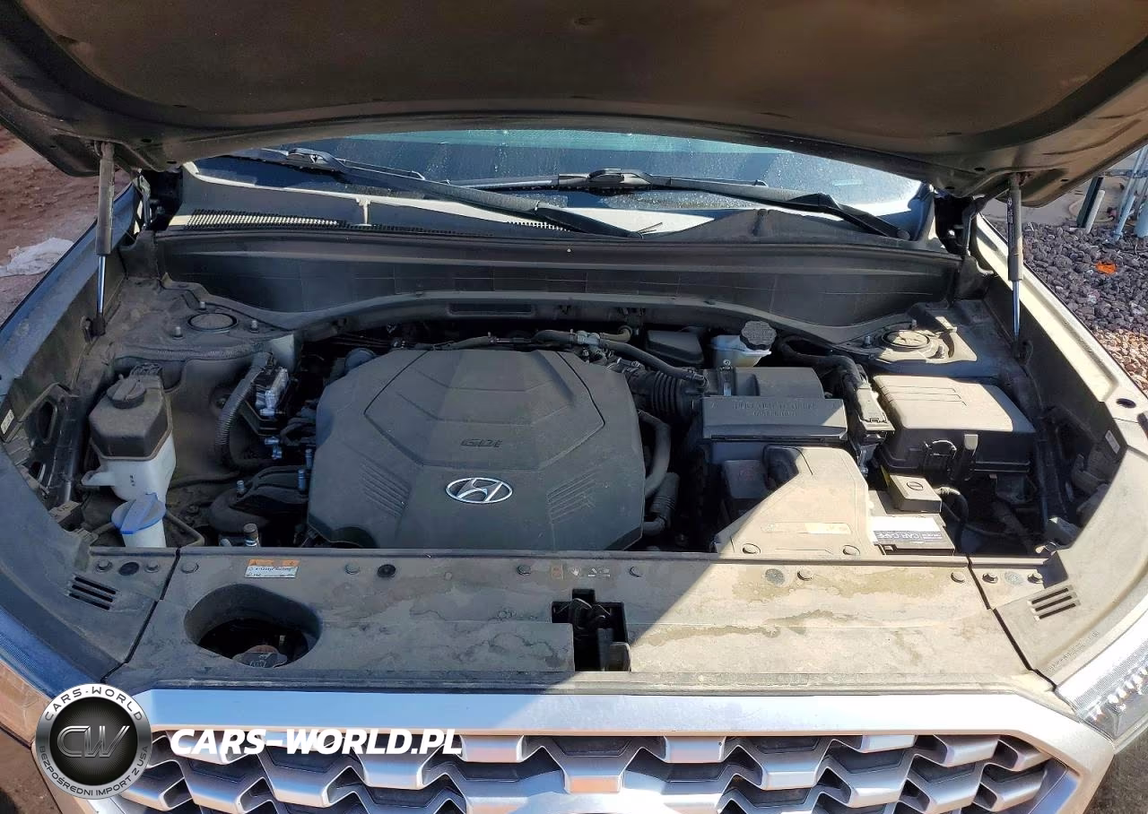 2022 Hyundai Palisade Sel VIN:KM8R44HEXNU374193 - 12