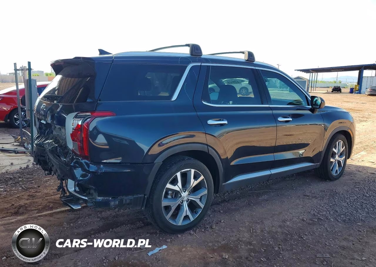 2022 Hyundai Palisade Sel VIN:KM8R44HEXNU374193 - 3