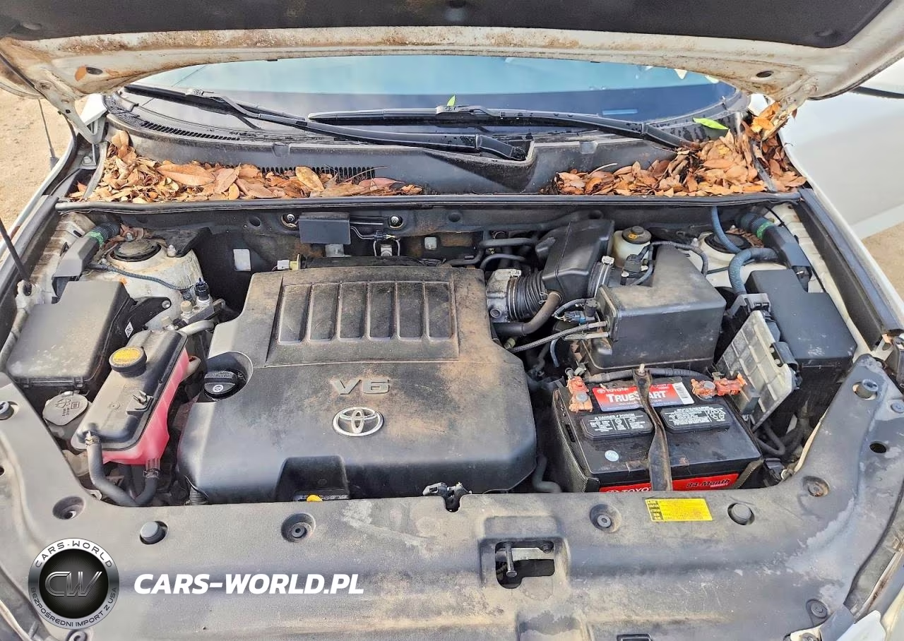 2008 Toyota Rav4 Limited VIN:JTMZK31V785020094 - 12