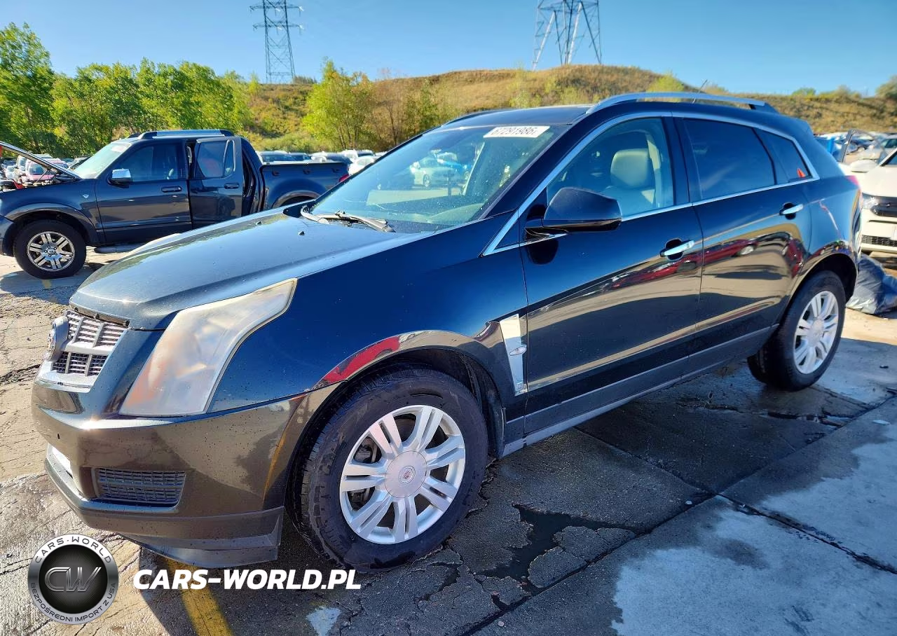 2012 Cadillac Srx Luxury Collection VIN:3GYFNDE39CS500395 - 1