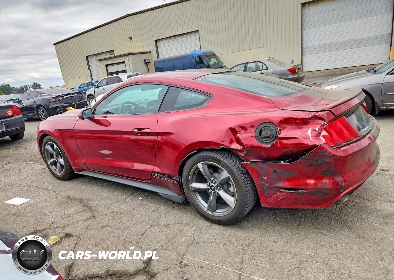 2015 Ford Mustang VIN:1FA6P8AM2F5382801 - 2