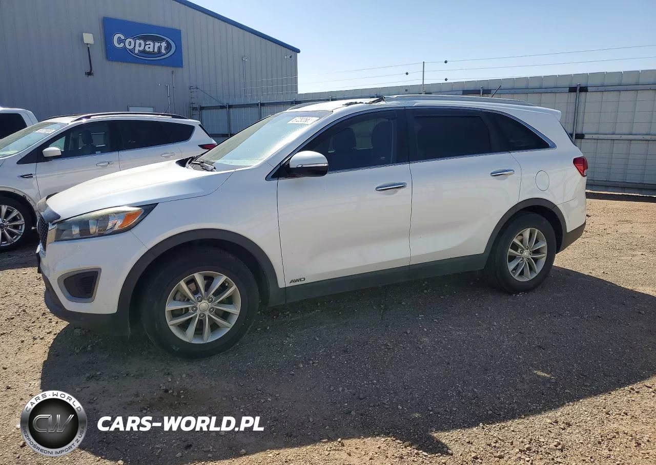 2017 Kia Sorento Lx VIN:5XYPGDA37HG296862 - 1