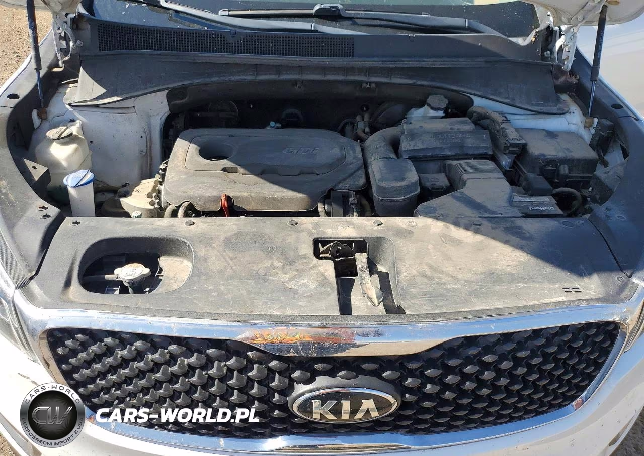 2017 Kia Sorento Lx VIN:5XYPGDA37HG296862 - 12