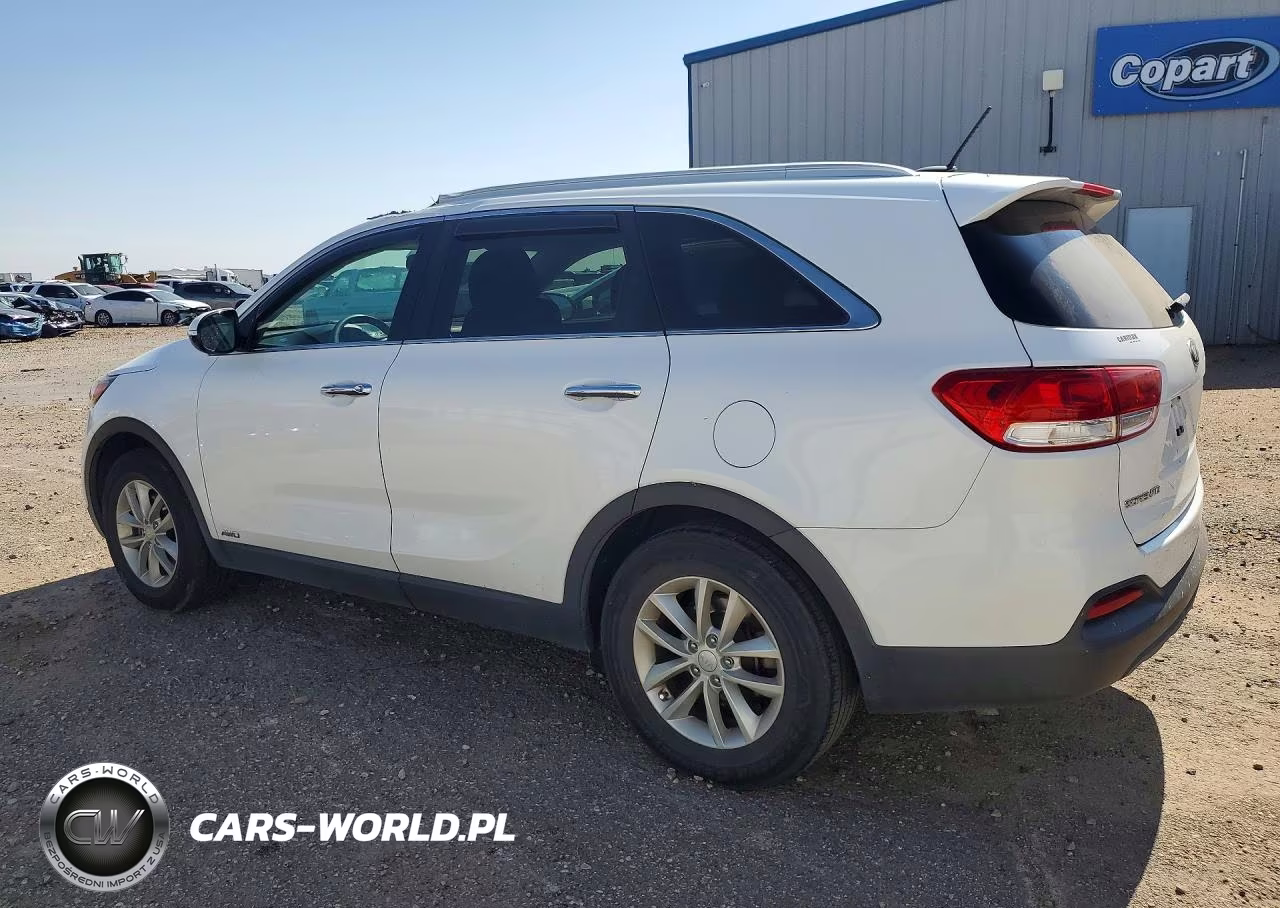 2017 Kia Sorento Lx VIN:5XYPGDA37HG296862 - 2