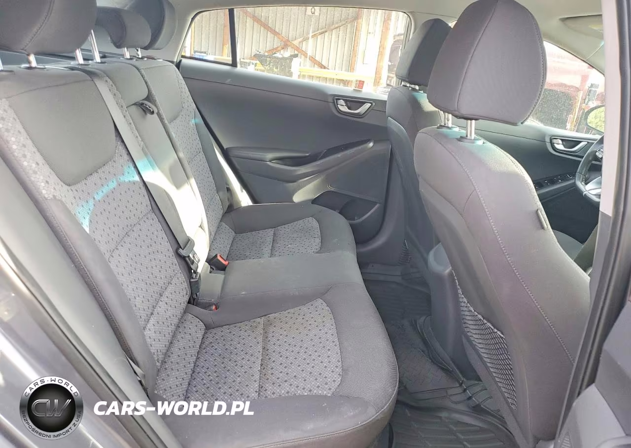 2017 Hyundai Ioniq Sel VIN:KMHC75LC3HU049950 - 10