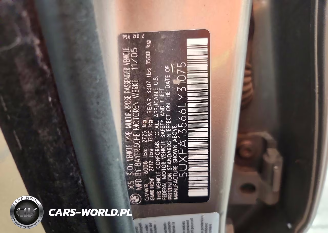 2006 BMW X5 3.0I VIN:5UXFA13566LY31075 - 13