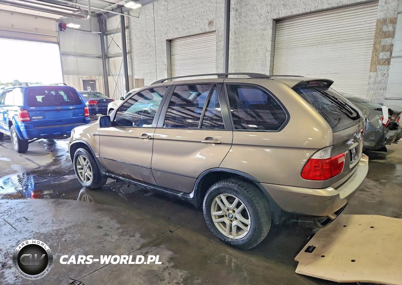 2006 BMW X5 3.0I VIN:5UXFA13566LY31075 - 2