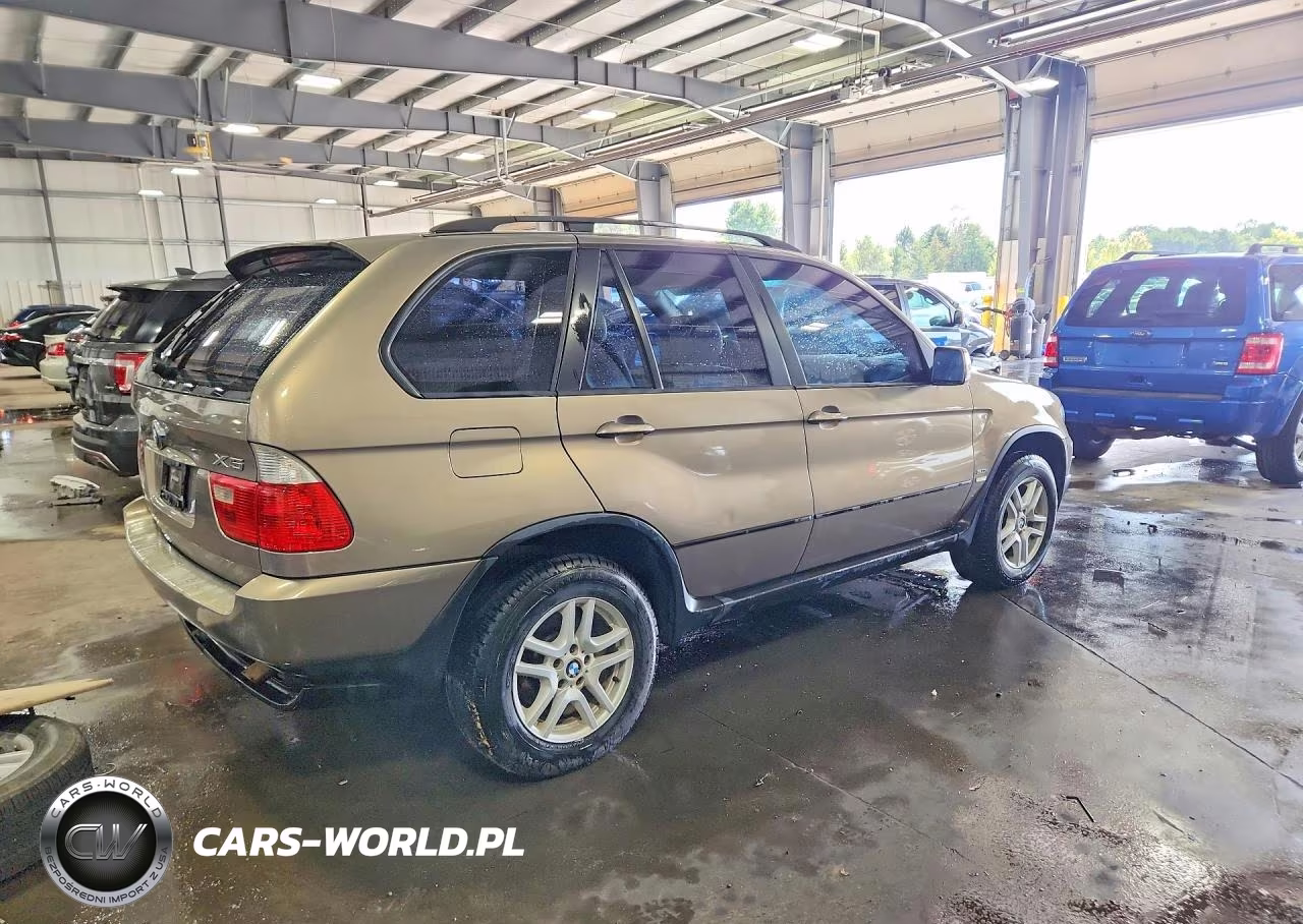 2006 BMW X5 3.0I VIN:5UXFA13566LY31075 - 3
