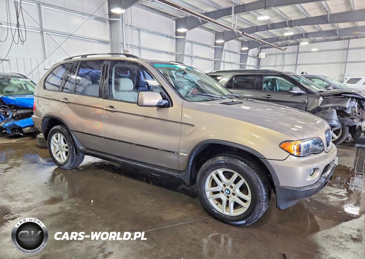 2006 BMW X5 3.0I VIN:5UXFA13566LY31075 - 4