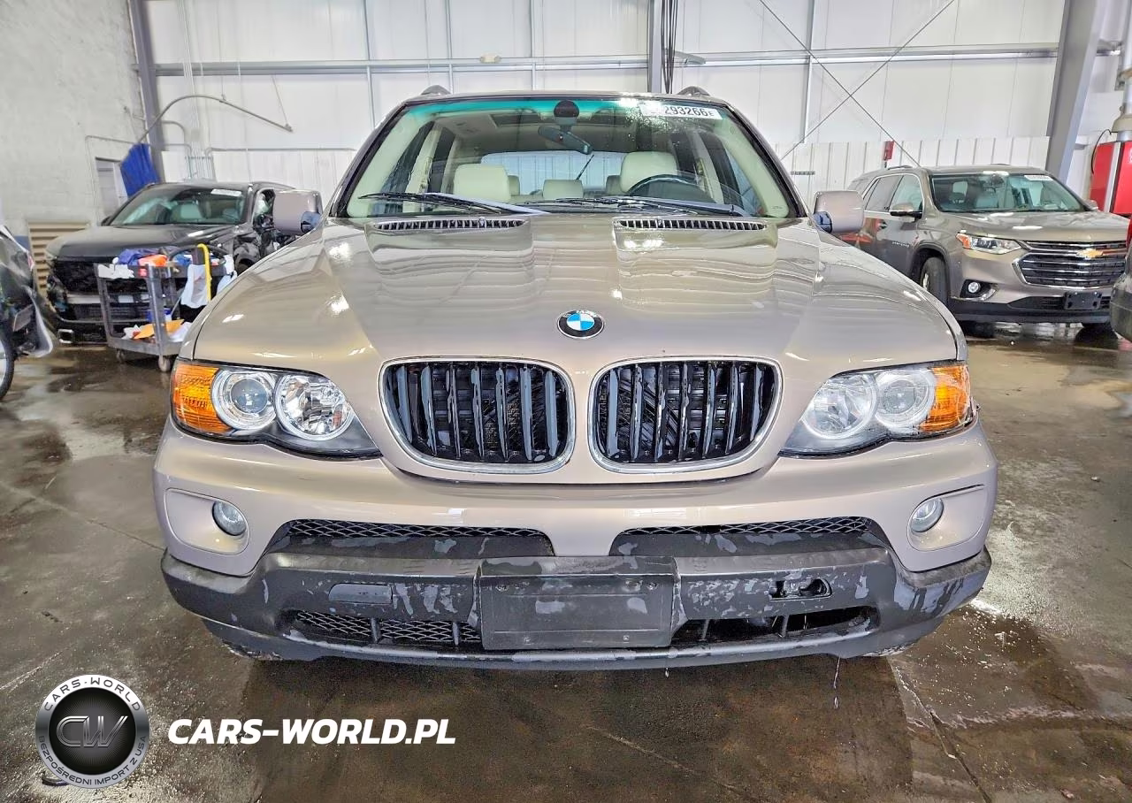 2006 BMW X5 3.0I VIN:5UXFA13566LY31075 - 5