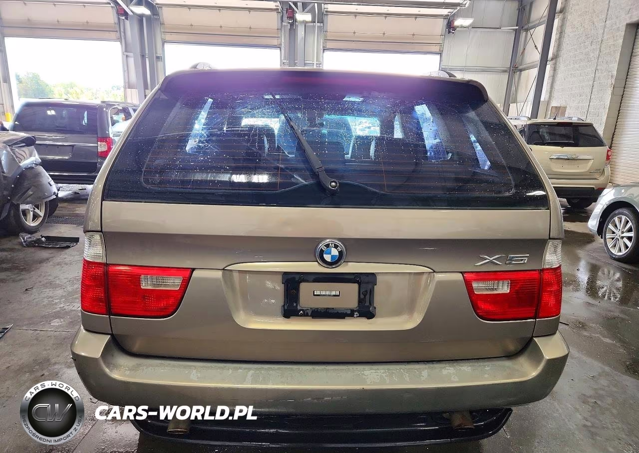 2006 BMW X5 3.0I VIN:5UXFA13566LY31075 - 6