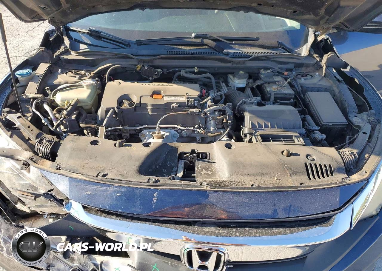 2017 Honda Civic Lx VIN:2HGFC2F50HH503746 - 11