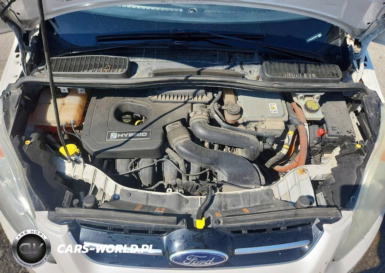 2014 Ford C-Max Sel VIN:1FADP5BU5EL516814 - 12