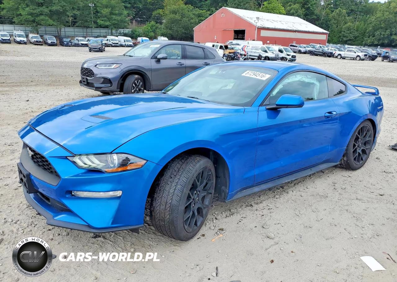 2019 Ford Mustang VIN:1FA6P8TH4K5194162 - 1