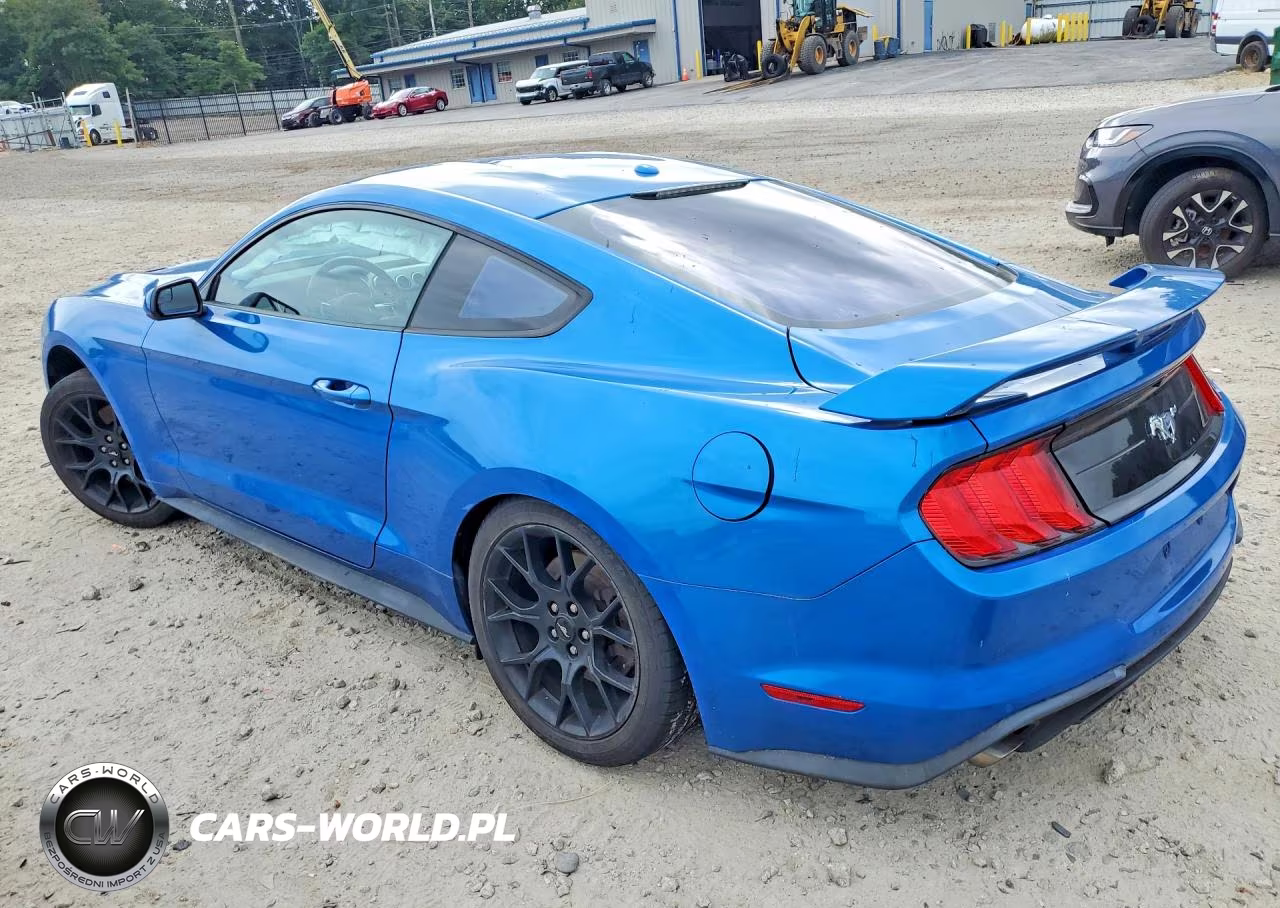 2019 Ford Mustang VIN:1FA6P8TH4K5194162 - 2