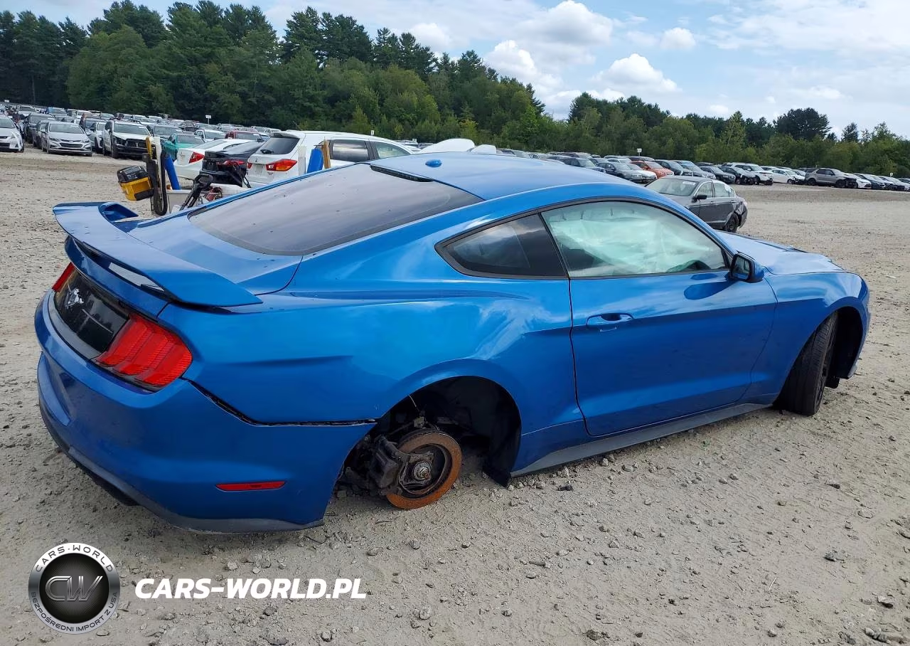 2019 Ford Mustang VIN:1FA6P8TH4K5194162 - 3