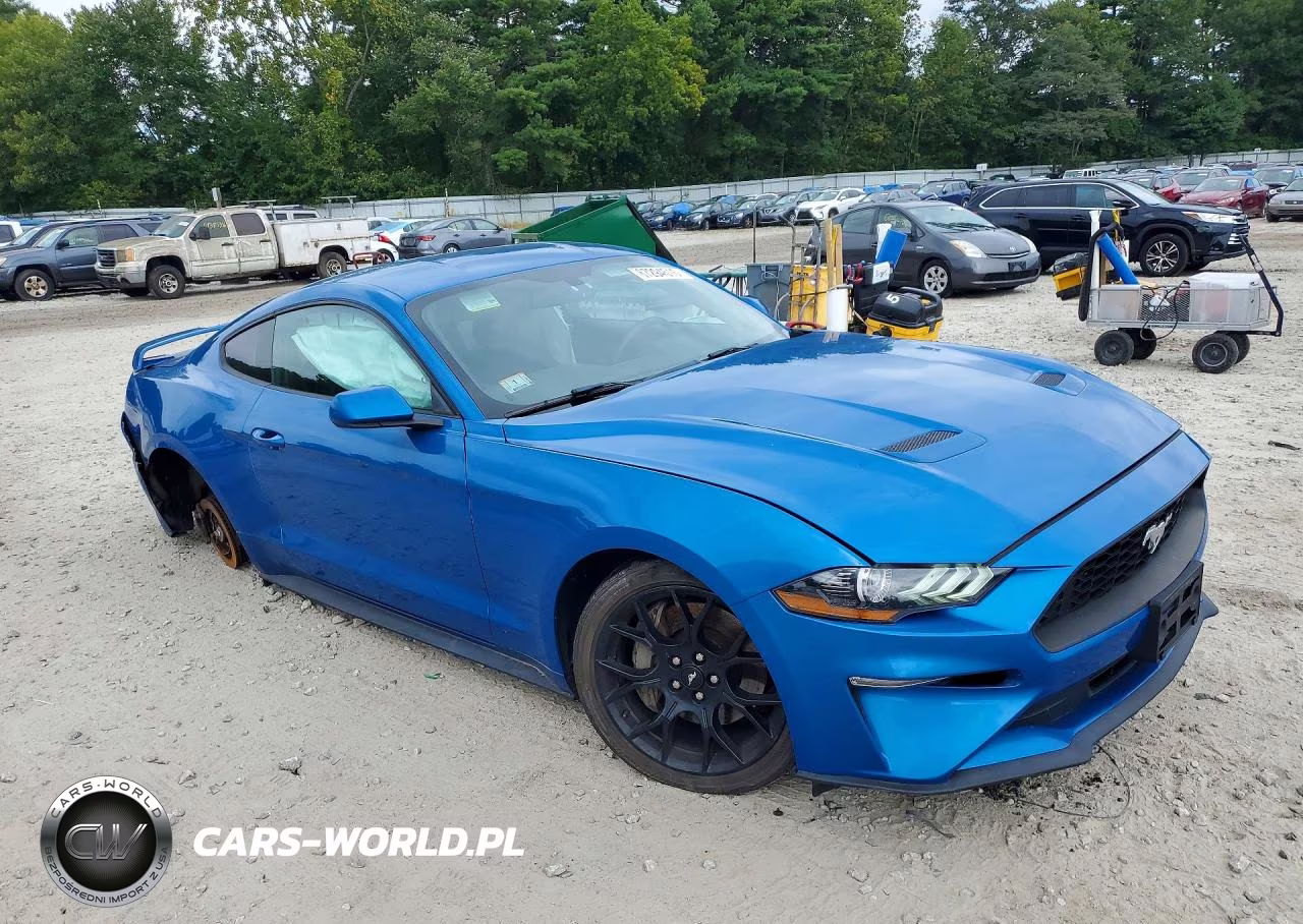2019 Ford Mustang VIN:1FA6P8TH4K5194162 - 4
