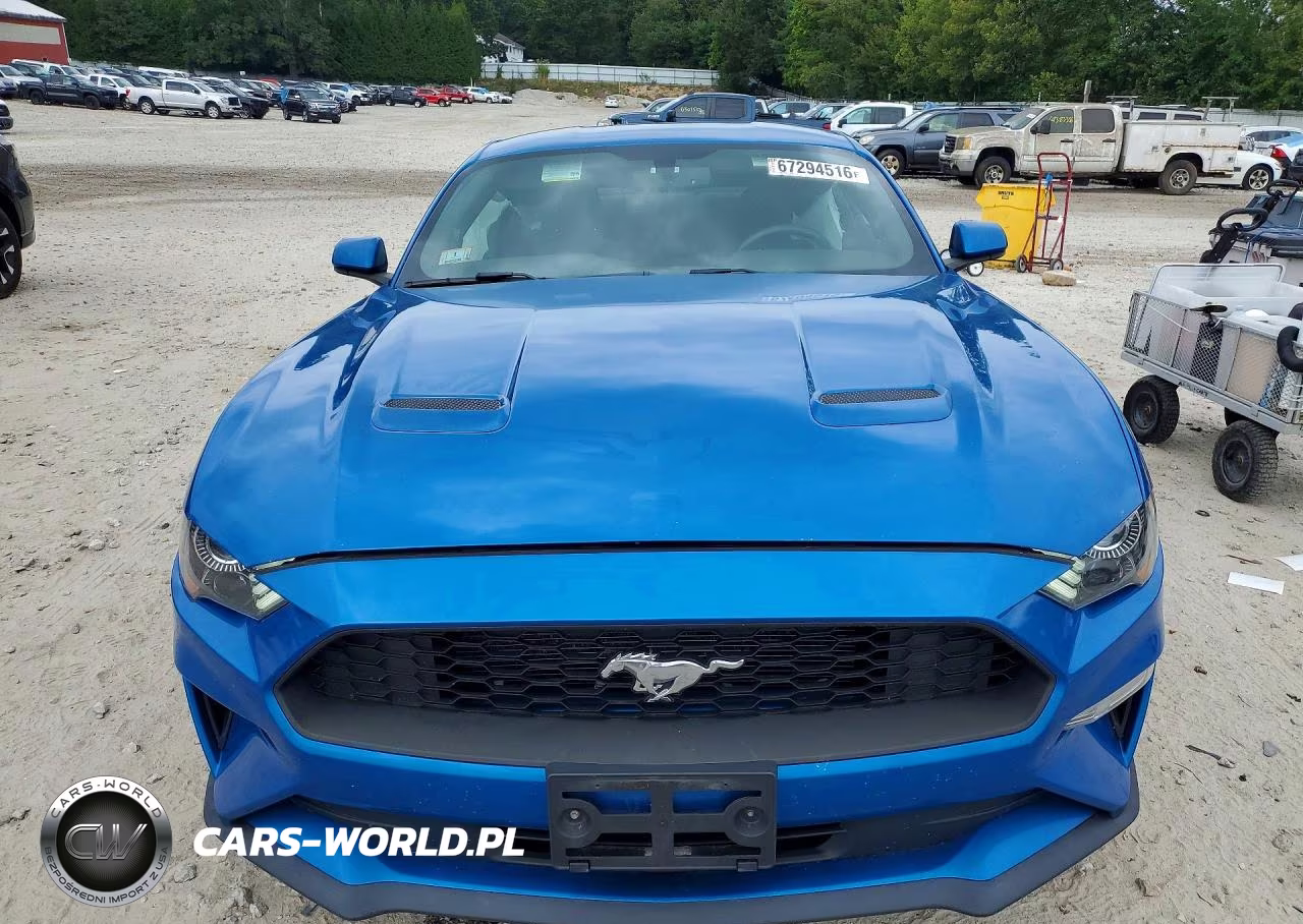 2019 Ford Mustang VIN:1FA6P8TH4K5194162 - 5