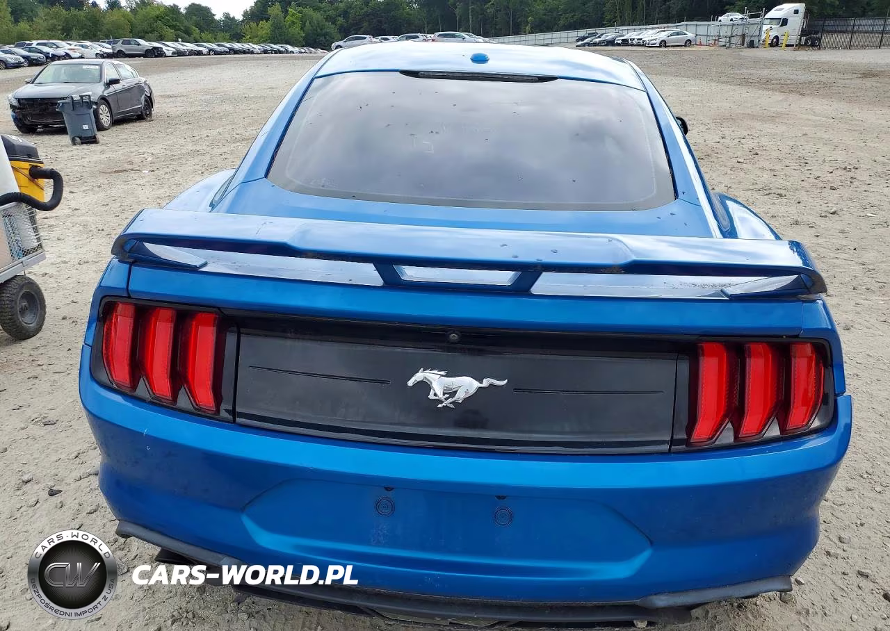 2019 Ford Mustang VIN:1FA6P8TH4K5194162 - 6
