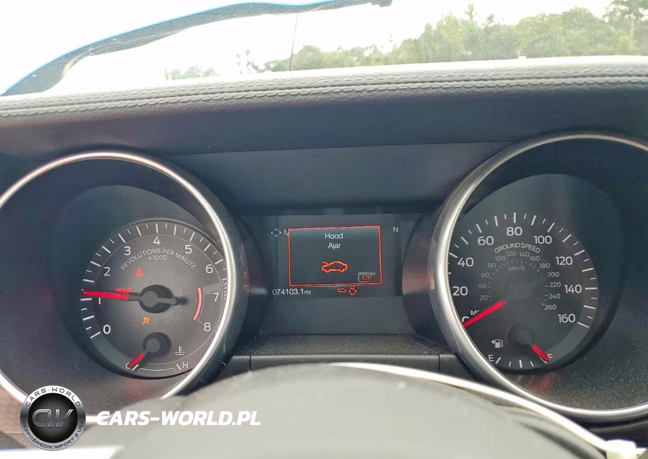 2019 Ford Mustang VIN:1FA6P8TH4K5194162 - 9