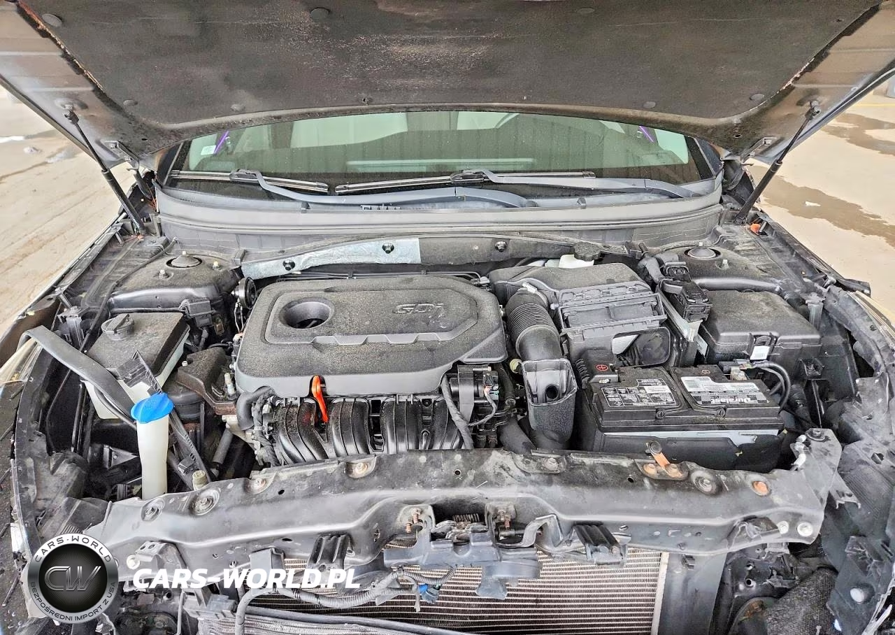2015 Hyundai Sonata Se VIN:5NPE24AF0FH198214 - 11
