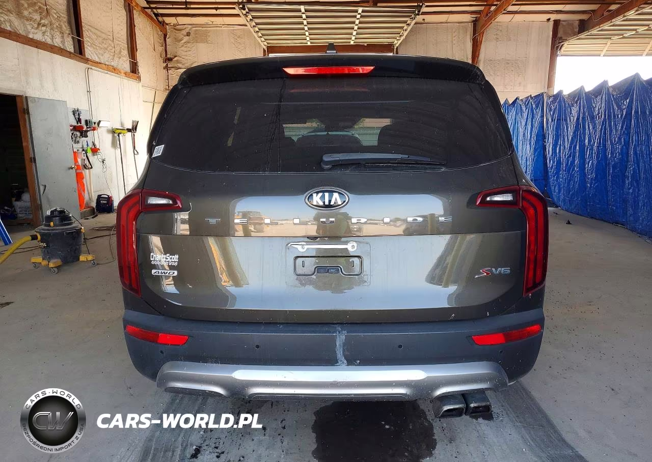2020 Kia Telluride S VIN:5XYP6DHC6LG024773 - 6