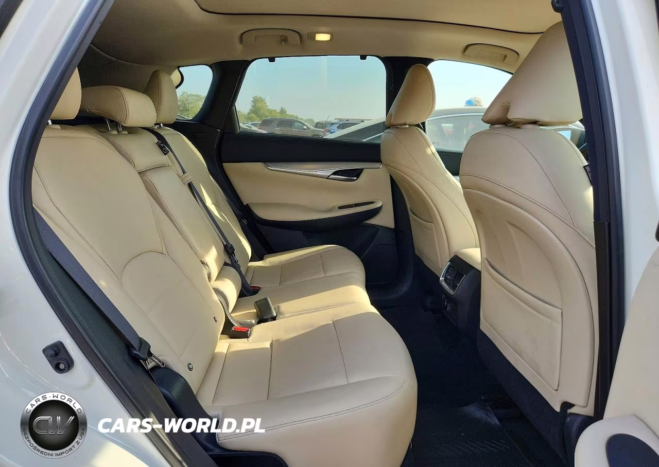 2020 Infiniti Qx50 Luxe VIN:3PCAJ5M13LF107406 - 10