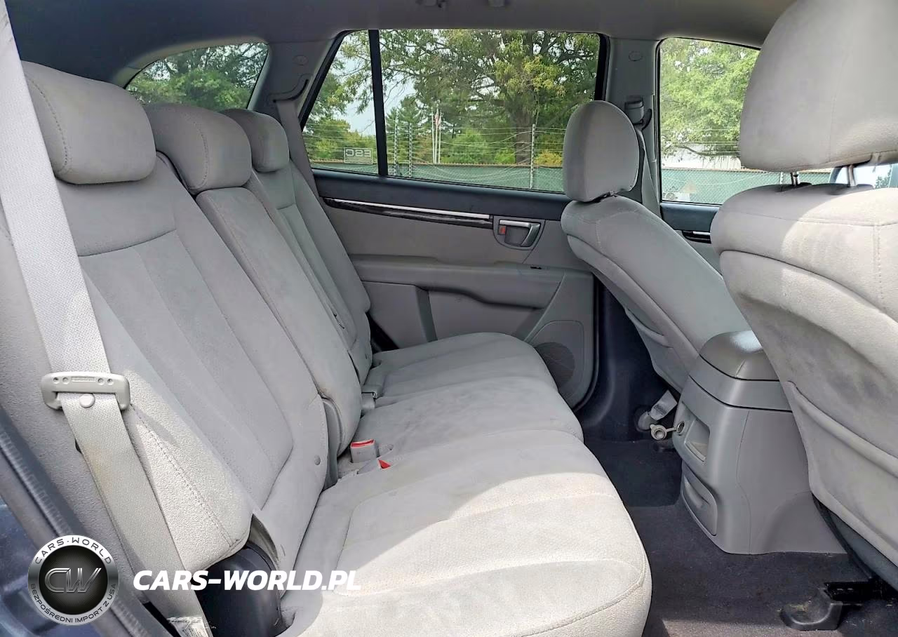 2009 Hyundai Santa Fe Gls VIN:5NMSG13D09H277690 - 10