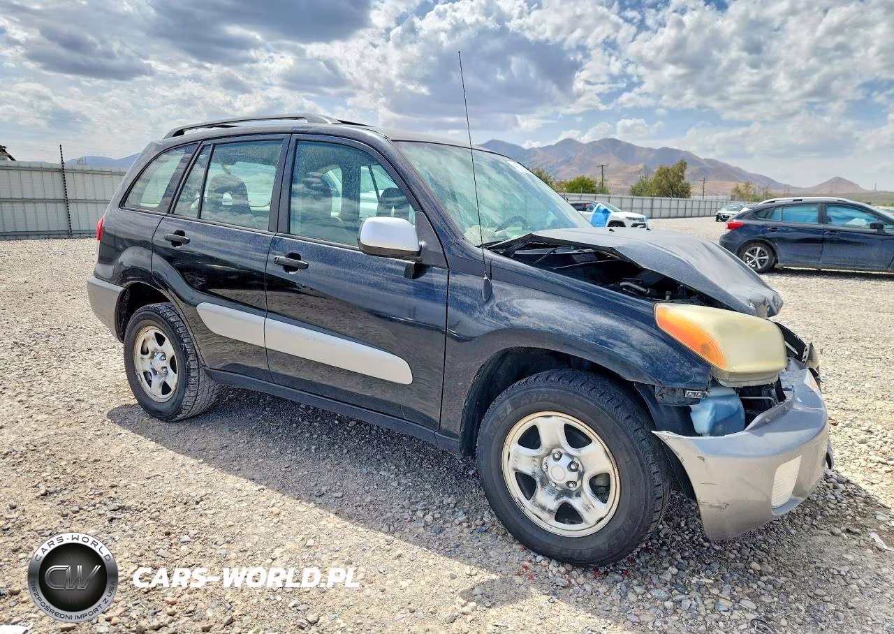 2003 Toyota Rav4 Base VIN:JTEGH20V430113559 - 4
