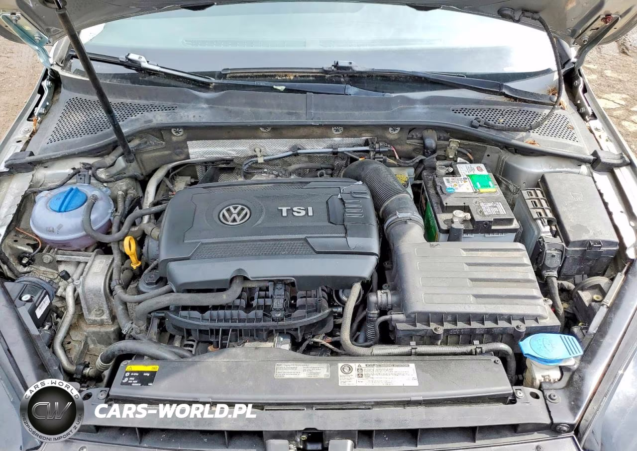 2015 Volkswagen Golf Tsi S 4-Door VIN:3VW217AU2FM018468 - 11